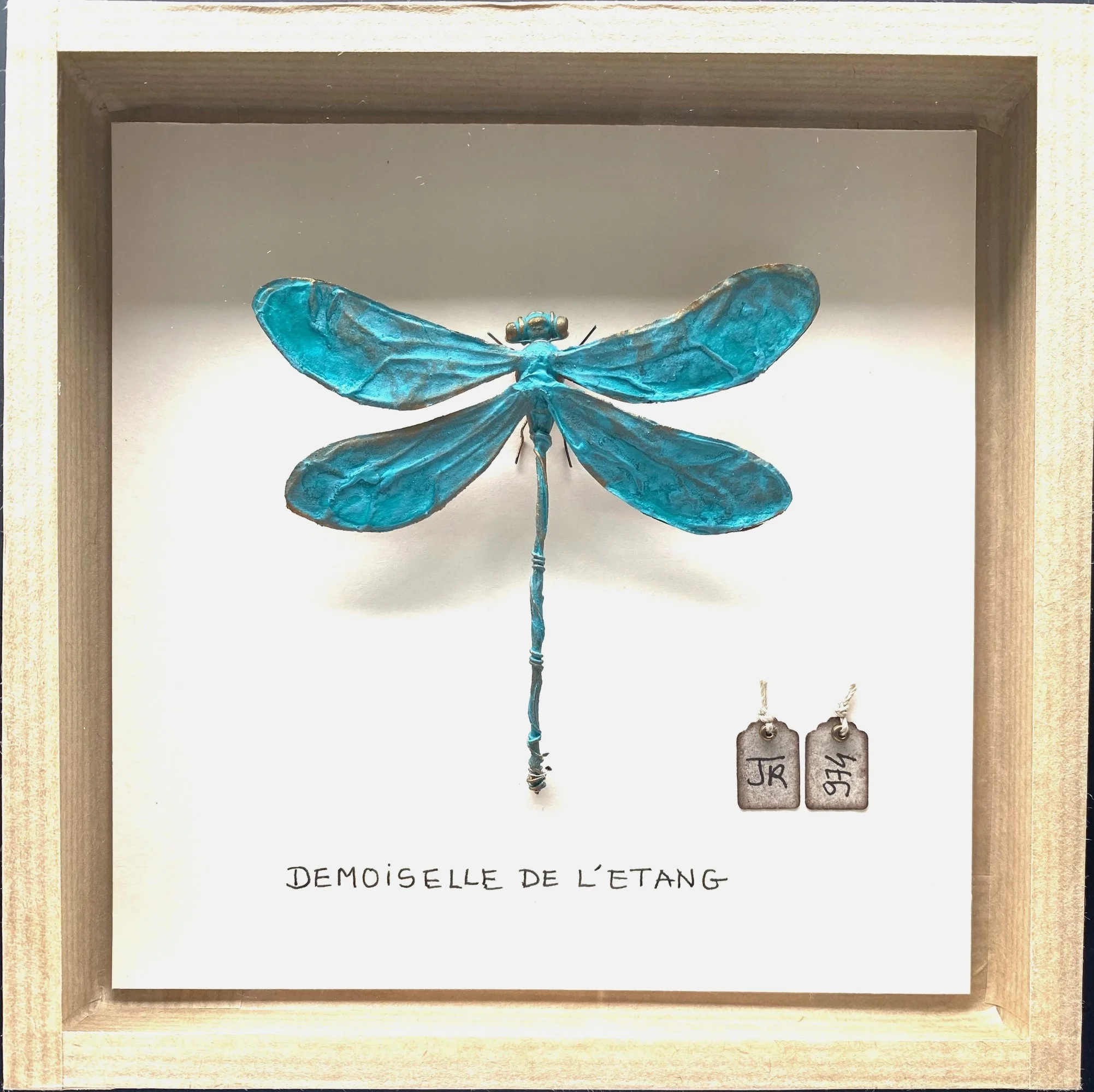La boîte à insectes. "Demoiselle de l'étang"